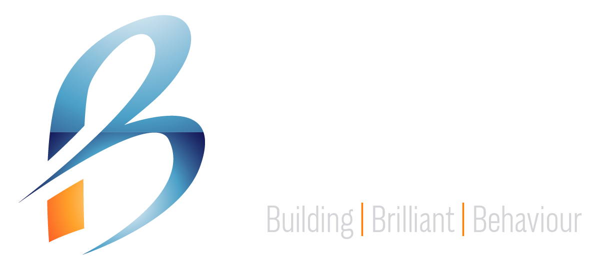 3B Partners Logo